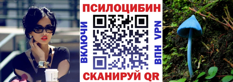 дарк нет наркотические препараты  Кропоткин  Псилоцибиновые грибы ЛСД  blacksprut ссылка 