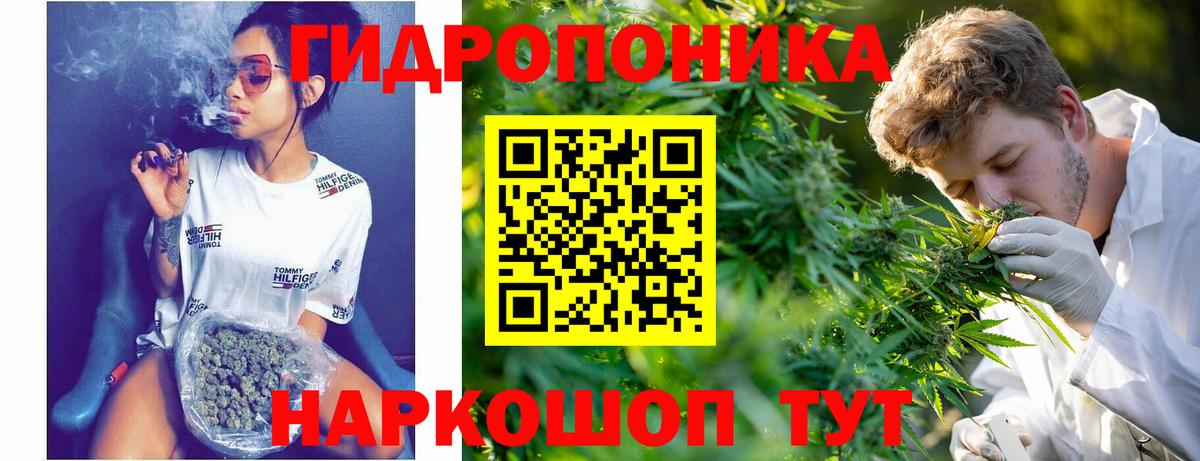 Конопля MAZAR  Вход с VPN  Кропоткин  Канабис Amnesia 